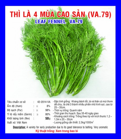 Rau thì là - Việt á Seeds - Công Ty TNHH Phát Triển Nông Nghiệp Việt Á